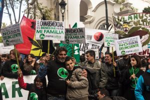 “Por el derecho a la salud, mañana vamos por la legalización del cannabis medicinal sin restricciones”