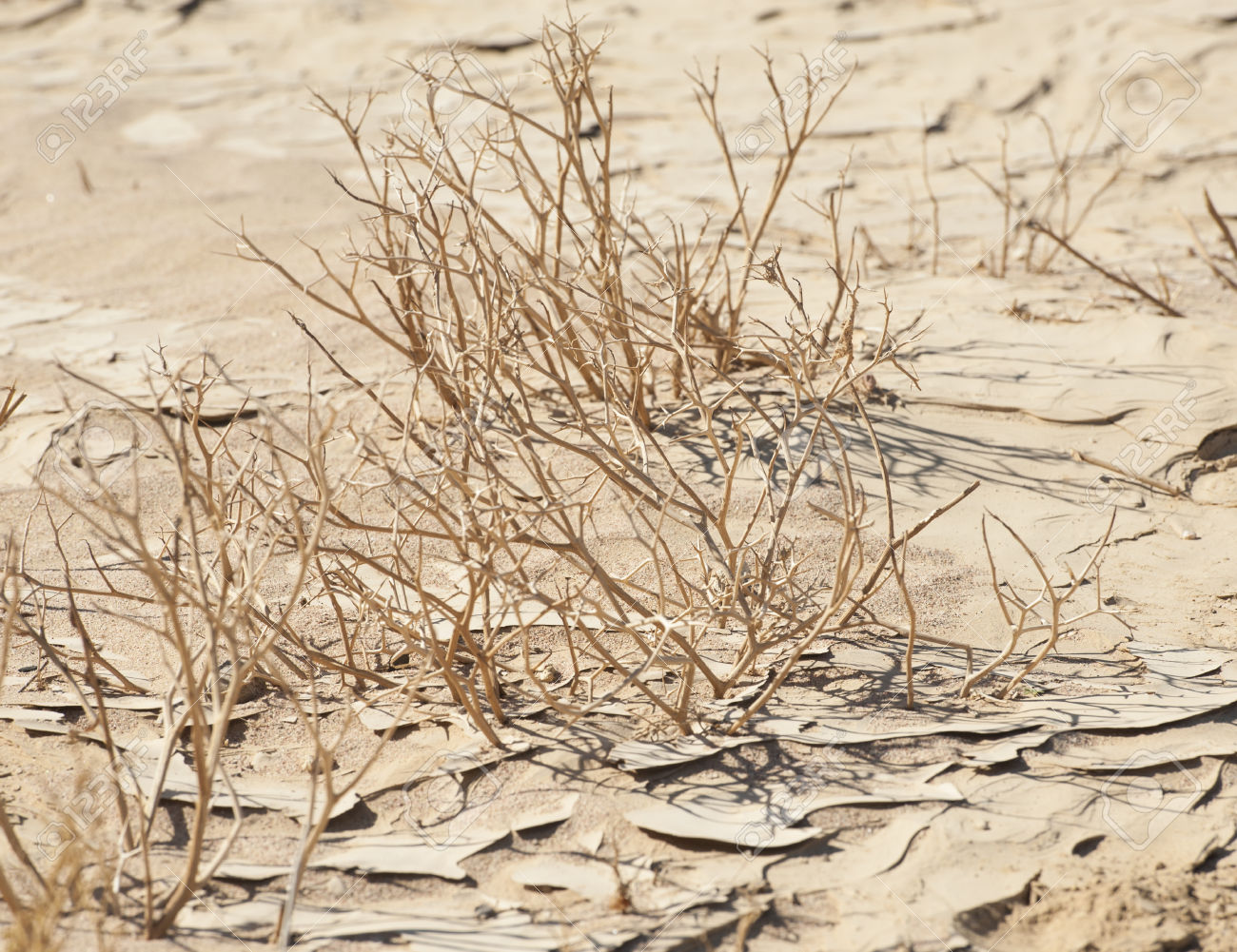 «El segundo semestre tampoco llega en 2017»