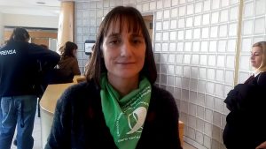 Romina Del Plá: “Pinedo miente para defender el aborto clandestino. Michetti obstaculiza el tratamiento”