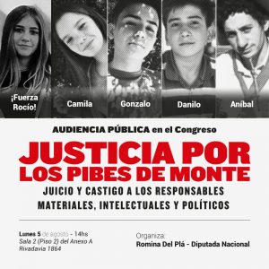 [Tragedia San Miguel del Monte] Audiencia Pública en el Congreso Nacional para pedir justicia