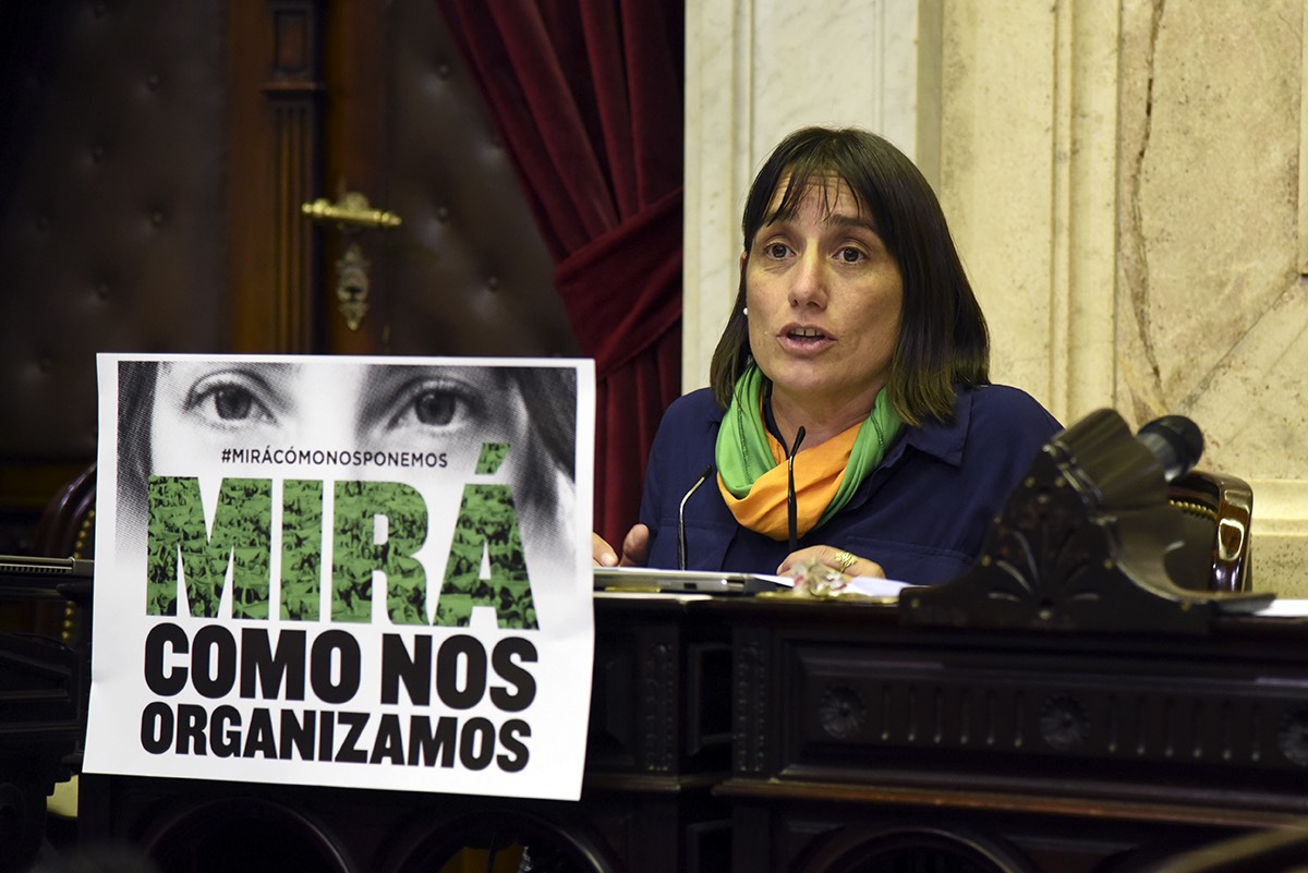 Del Plá ante Gómez Alcorta: “El negacionismo frente a los femicidios incrementa la desprotección a las mujeres”