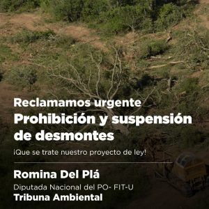 Carta al Presidente de la Comisión de Ambiente, Leonardo Grosso