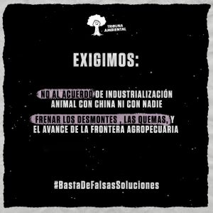 Martes, 15h, movilización contra las granjas industriales de cerdos y los desmontes y quemas