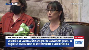 Del Plá: “Acompañamos el dictamen, pero disentimos con los agregados que abren la puerta a las Iglesias en la ley de aborto”