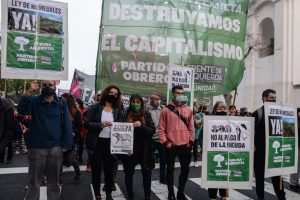 Romina Del Plá: “El gobierno no trata la ley de humedales y empeora la crisis ambiental”