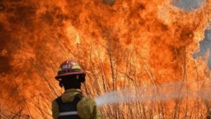 Romina Del Plá: «Corrientes se prende fuego y la ley de humedales sigue cajoneada, el gobierno es responsable»