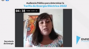 Flavia Tesone denunció los negocios de Edenor y la complicidad estatal
