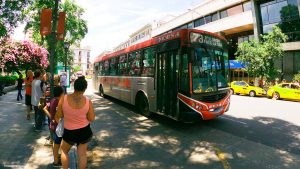 Cintia Frencia: “Hay que terminar con los negocios en el transporte y proceder a la estatización”
