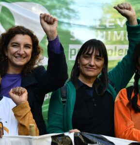 Romina Del Plá: “Si el oficialismo intenta derogar la ley de la IVE, nos va a encontrar en las calles”