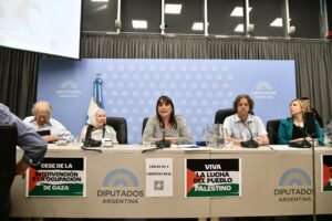 Romina Del Plá: “Una audiencia pública rebalsada en apoyo al pueblo palestino”