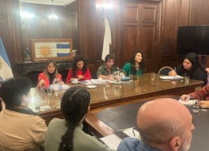 [Legislatura] Gabriel Solano: “La ley de Reiterancia es una maniobra contra el derecho a la protesta”