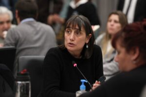 Romina Del Plá: “Rechazamos de fondo este paquete reaccionario de leyes”