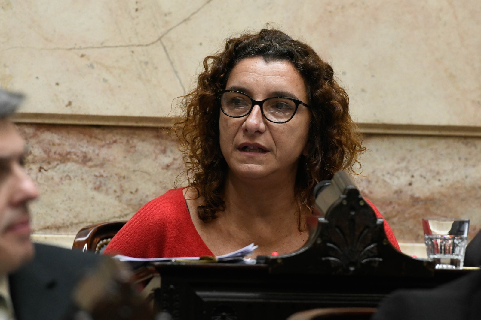 Vanina Biasi: “Ahora que diputados rechazó los fondos de la SIDE, es urgente que se trate el DNU 70”