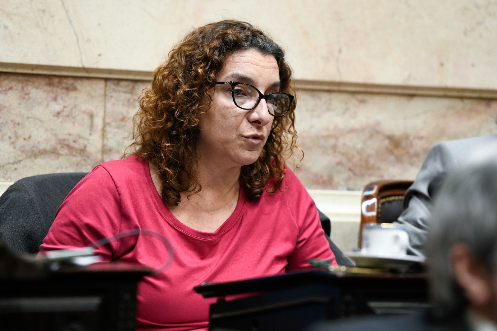 Vanina Biasi: “Francos les miente a los diputados mientras gobierna al servicio de Rocca, Elsztain y Galperín”