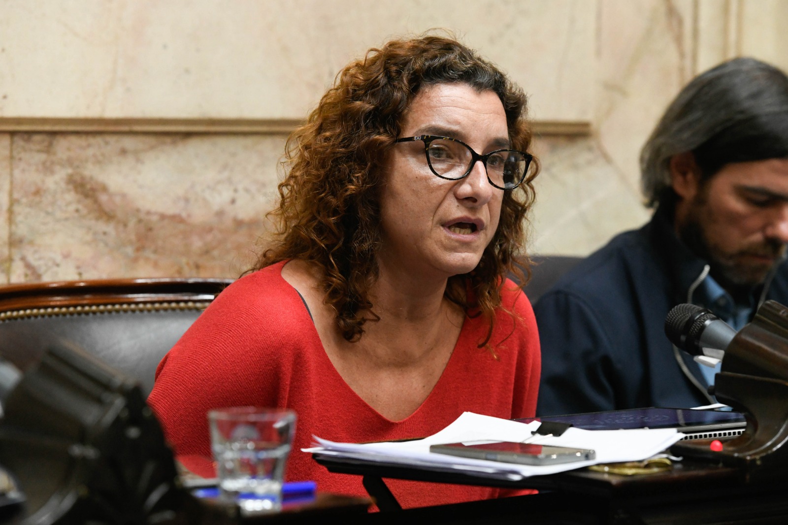 Vanina Biasi: “Los diputados del Frente de Izquierda no vamos a hacer de comparsa de Milei”