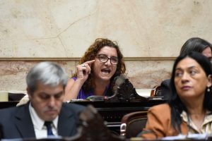 Vanina Biasi: “Otra sesión escandalosa: avalan la represión, se filtran maniobras del presidente y buscan una nueva postración ante el FMI”
