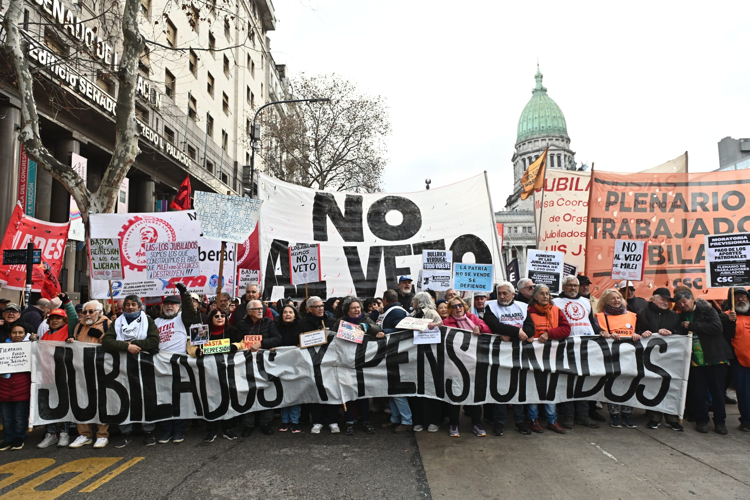 Romina Del Plá: «Para jubilados y discapacidad hay vetos, para los patrones agrarios premios»
