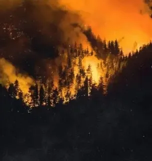 EMERGENCIA NACIONAL FRENTE A LOS INCENDIOS EN LAS PROVINCIAS DE CHUBUT, RÍO NEGRO, SANTA CRUZ Y NEUQUÉN