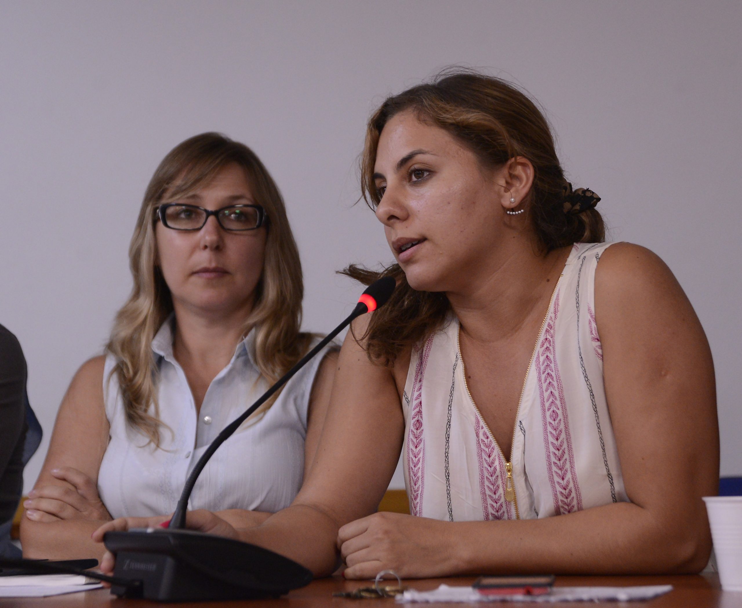 La diputada Sosa en Audiencia Pública contra el protocolo antipiquete y por la libertad de prensa