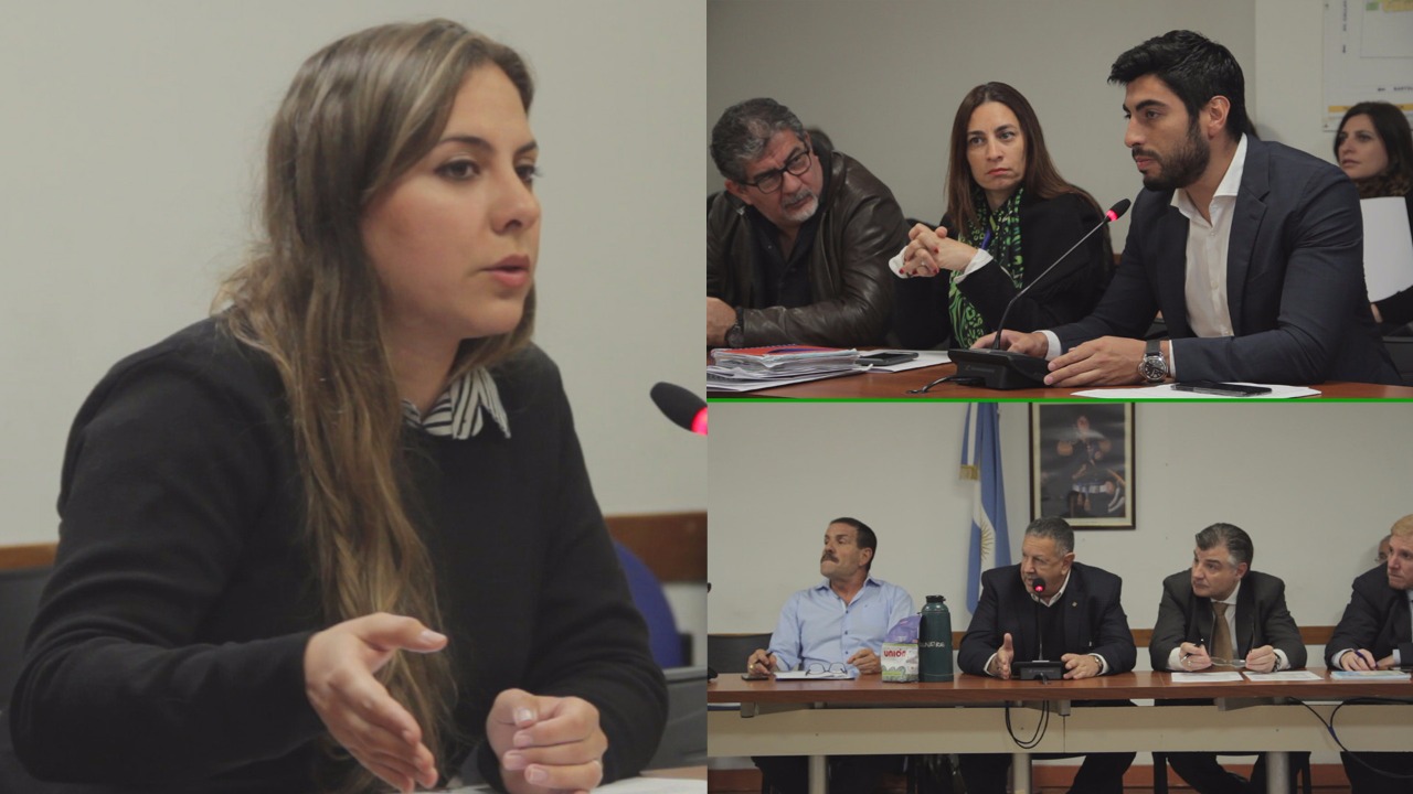 Nuevo fracaso de Comisión de Trabajo. Soledad Sosa: «La marcha de la CGT no le movió el amperímetro a Macri ni a los diputados peronistas y oficialistas»