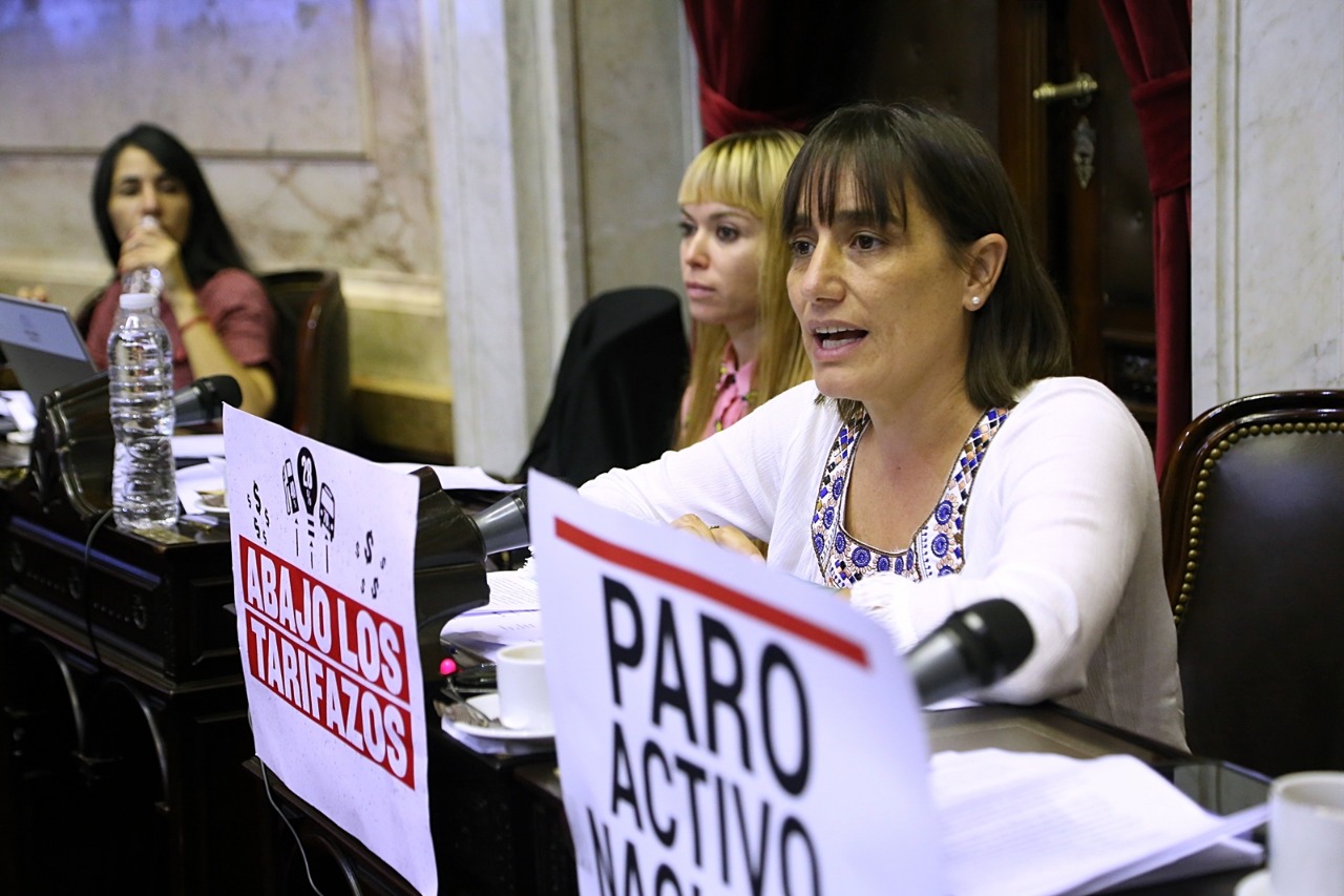 Romina Del Plá rechaza leyes de Mercado de Capitales y Competencia